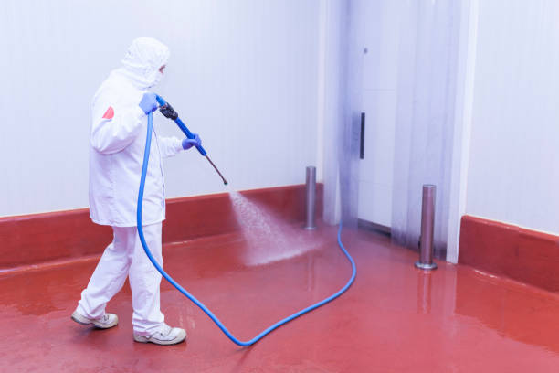 Boat and Dock Cleaning in Lincroft, NJ